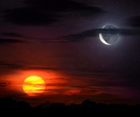 #hormonrendszer – A mellékvese hormonjai